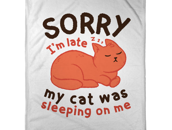 My Cat Was Sleeping On Me