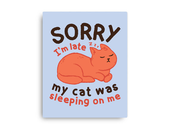 My Cat Was Sleeping On Me