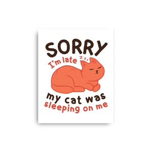 My Cat Was Sleeping On Me