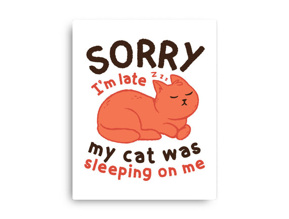 My Cat Was Sleeping On Me
