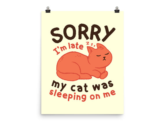My Cat Was Sleeping On Me