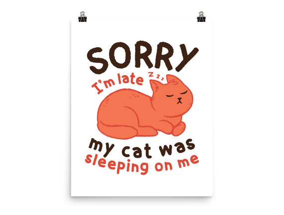 My Cat Was Sleeping On Me