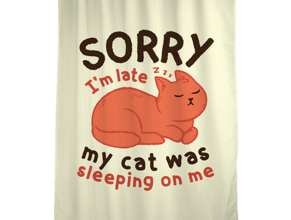 My Cat Was Sleeping On Me