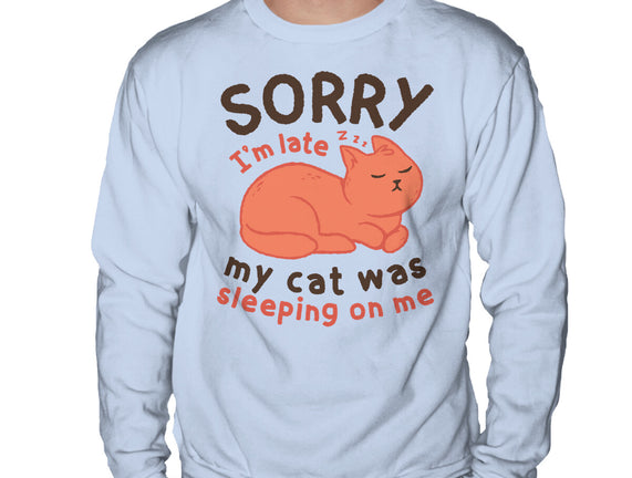 My Cat Was Sleeping On Me