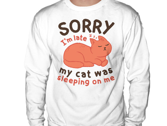 My Cat Was Sleeping On Me