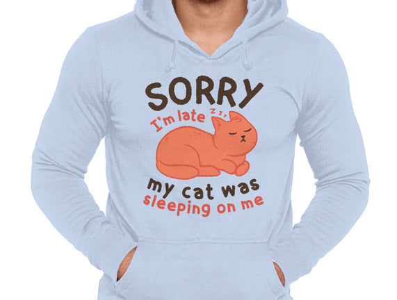 My Cat Was Sleeping On Me