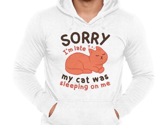My Cat Was Sleeping On Me