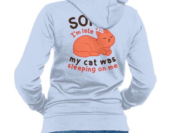 My Cat Was Sleeping On Me