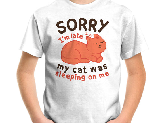 My Cat Was Sleeping On Me