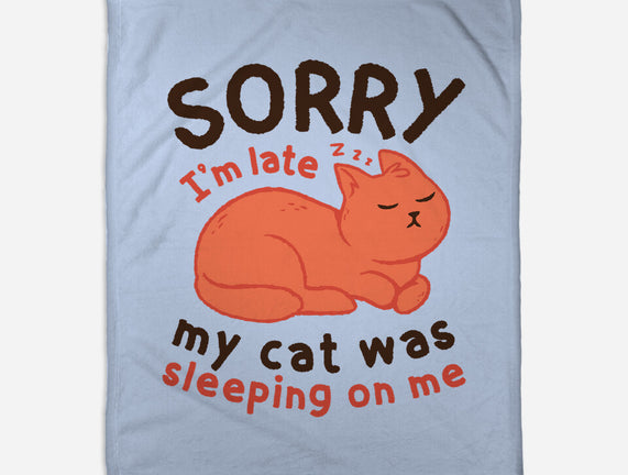 My Cat Was Sleeping On Me