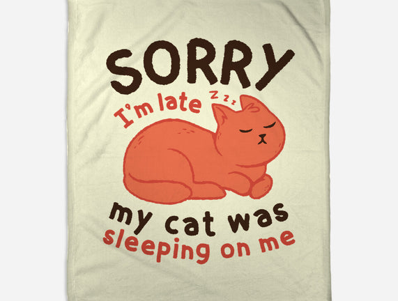 My Cat Was Sleeping On Me