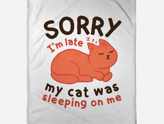 My Cat Was Sleeping On Me