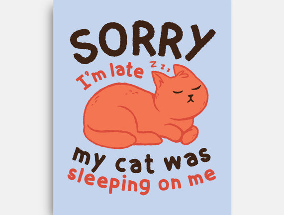 My Cat Was Sleeping On Me