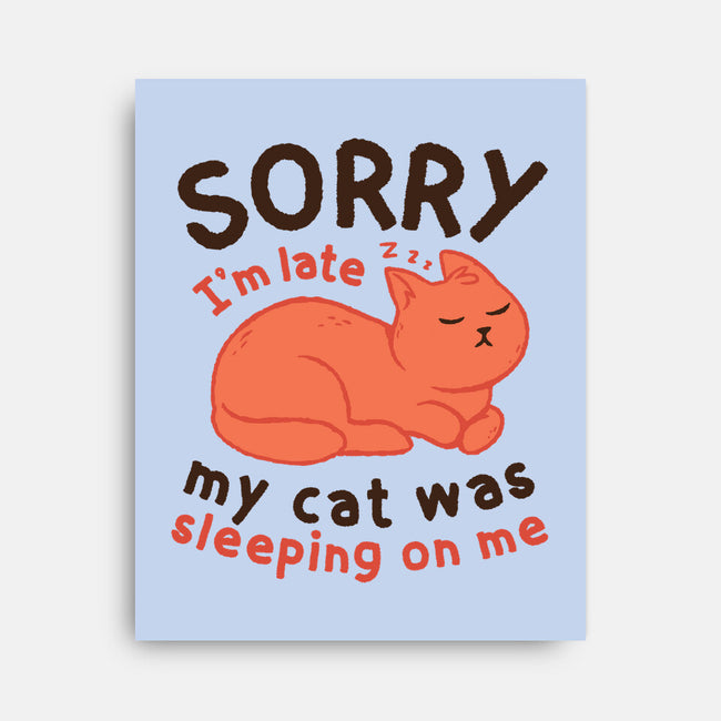 My Cat Was Sleeping On Me-None-Stretched-Canvas-brunopires