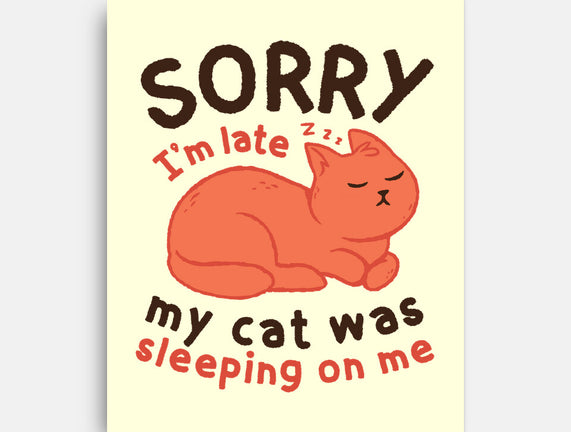 My Cat Was Sleeping On Me