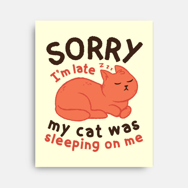 My Cat Was Sleeping On Me-None-Stretched-Canvas-brunopires