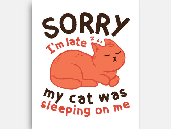 My Cat Was Sleeping On Me