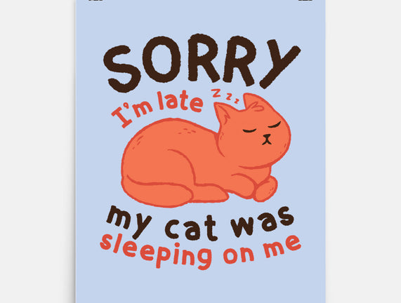 My Cat Was Sleeping On Me