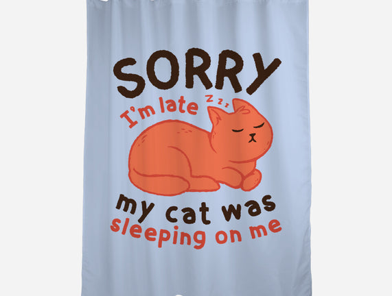 My Cat Was Sleeping On Me