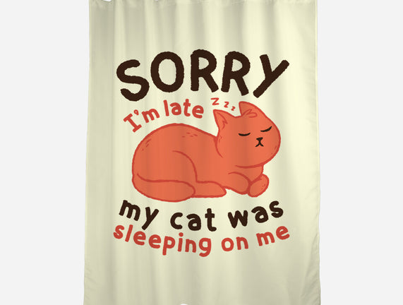 My Cat Was Sleeping On Me