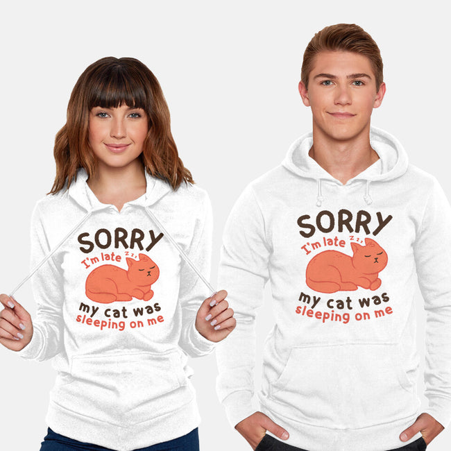 My Cat Was Sleeping On Me-Unisex-Pullover-Sweatshirt-brunopires