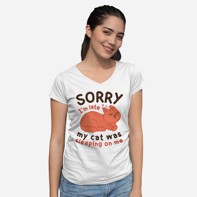 My Cat Was Sleeping On Me-Womens-V-Neck-Tee-brunopires