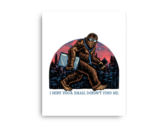 Email Doesn’t Find Me
