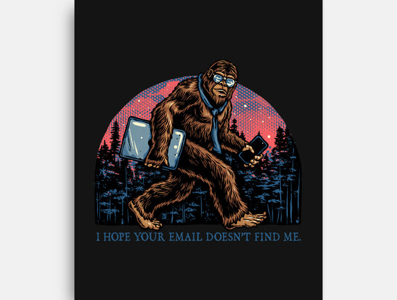 Email Doesn’t Find Me