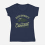 Disconnect To Connect-Womens-V-Neck-Tee-tobefonseca