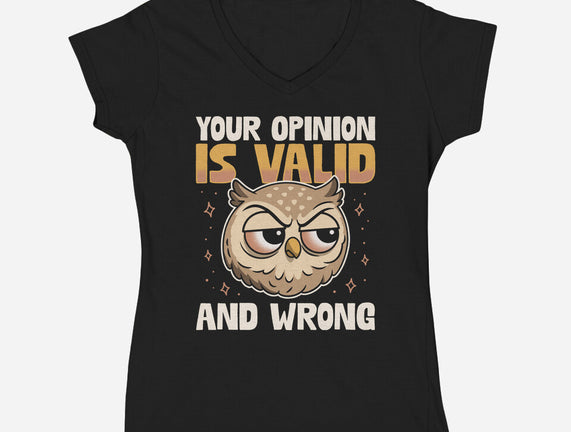 Valid But Wrong