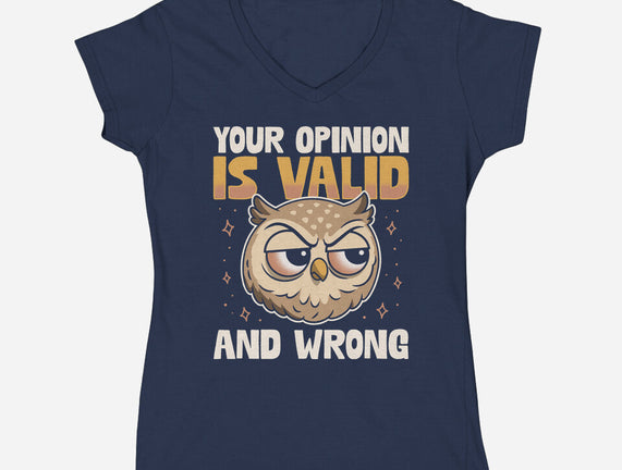 Valid But Wrong