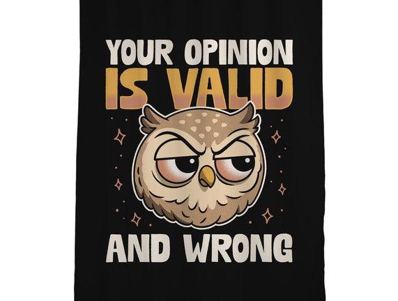 Valid But Wrong