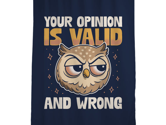 Valid But Wrong