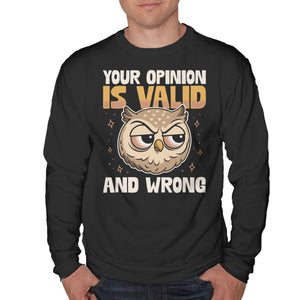 Valid But Wrong