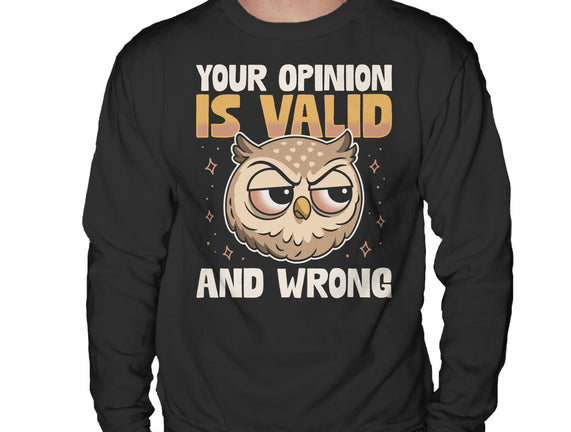 Valid But Wrong