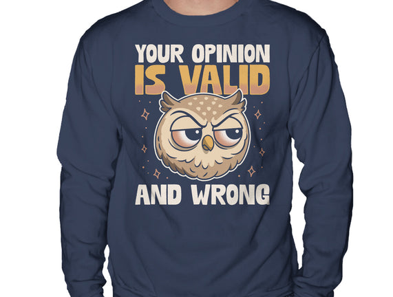 Valid But Wrong