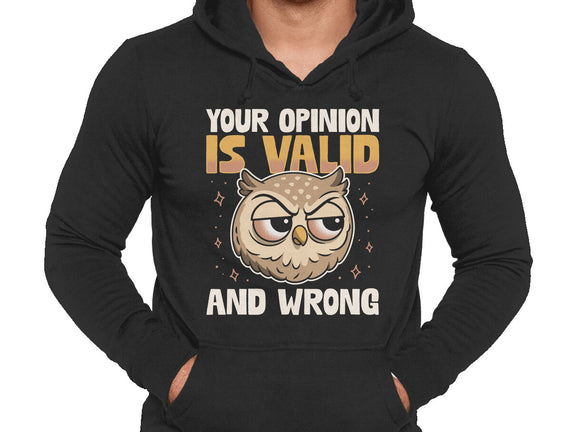 Valid But Wrong