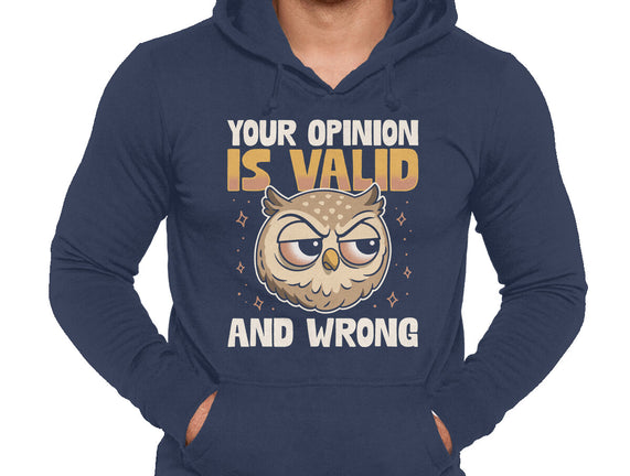 Valid But Wrong