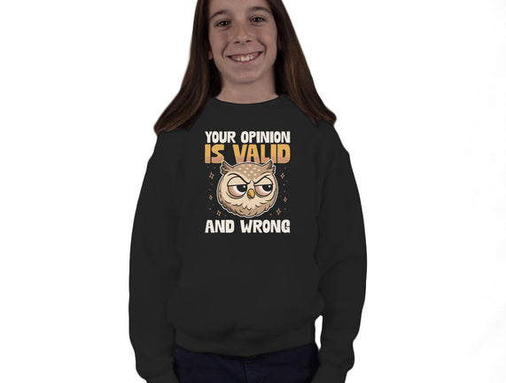 Valid But Wrong