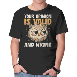 Valid But Wrong