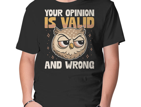 Valid But Wrong