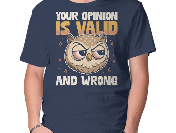 Valid But Wrong
