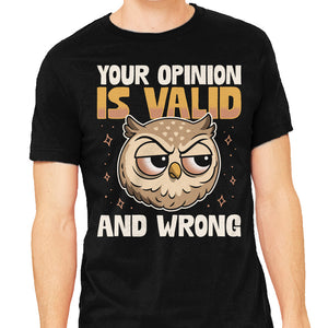 Valid But Wrong