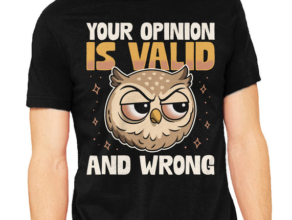 Valid But Wrong