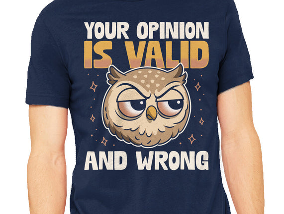 Valid But Wrong