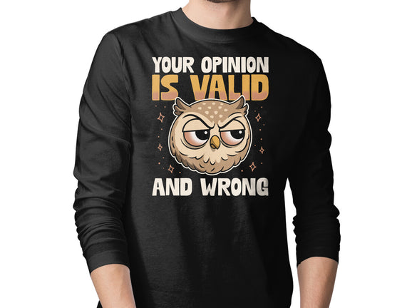 Valid But Wrong