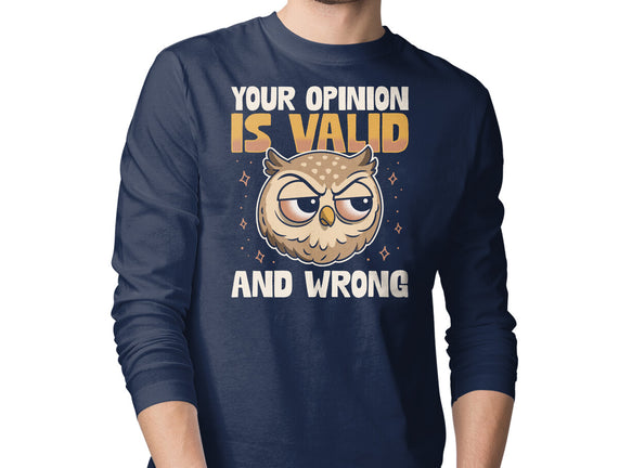 Valid But Wrong