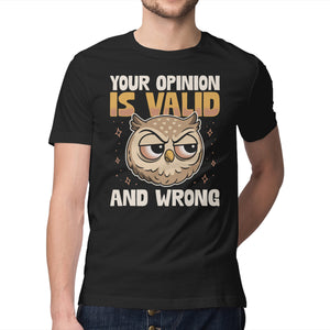 Valid But Wrong