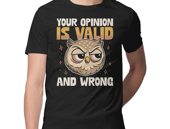 Valid But Wrong