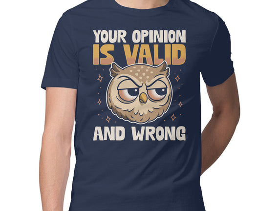 Valid But Wrong